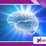 What Happens to the Brain When Seniors Meditate