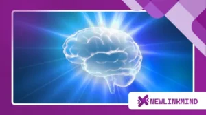 What Happens to the Brain When Seniors Meditate