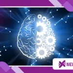 Why Your Brain Loves Early Silence: The Neuroscience Behind Morning Meditation
