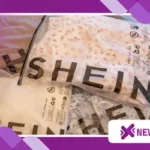 Learn now how to get free Shein products